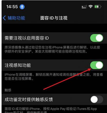 灞桥苹果14维修网点分享iPhone14注视感知功能有什么用 