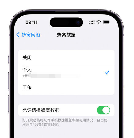 灞桥苹果维修服务分享如何在iPhone上使用双卡 